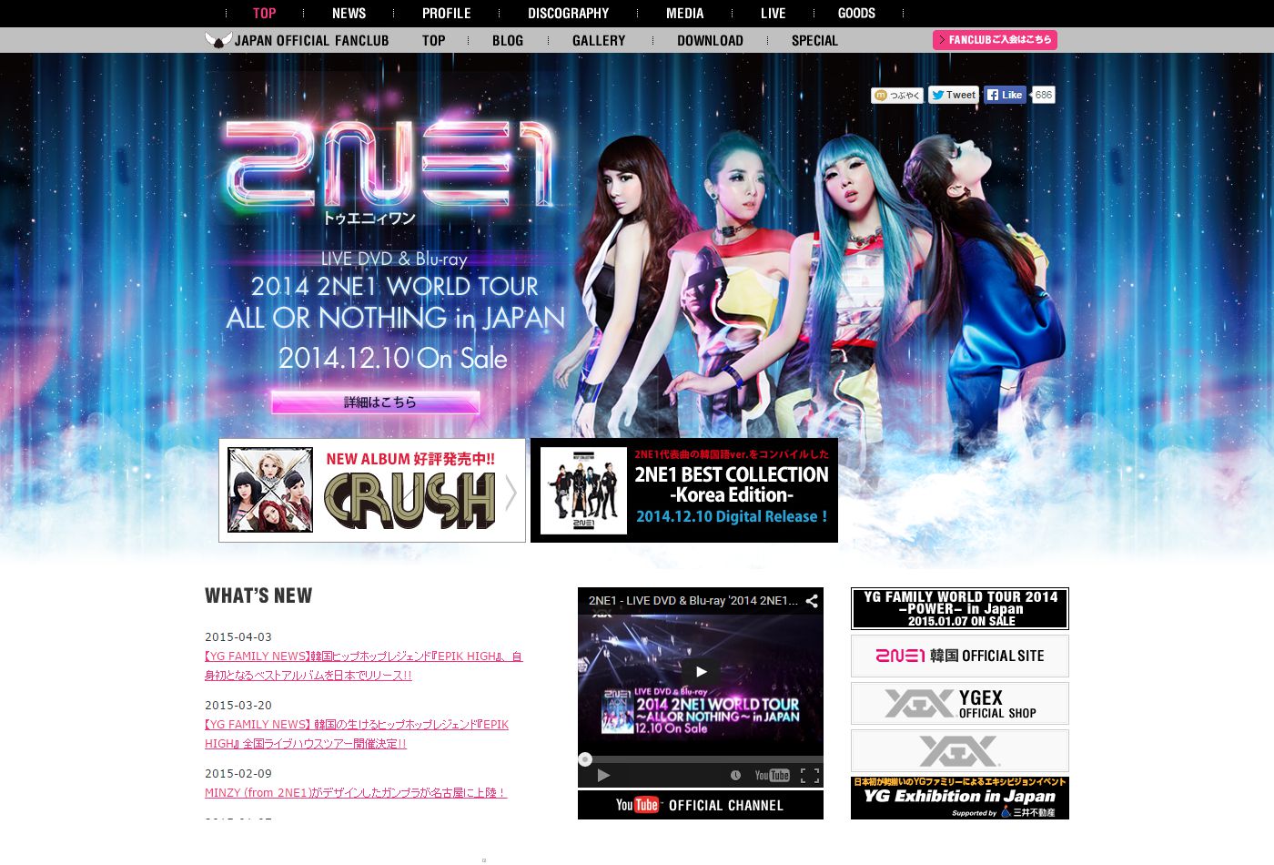 2NE1(トゥエニィワン) Japan official website WDG ウェブデザインギャラリー